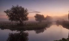 12星座哪些星座偶尔会突然陷入寂静无声的状态?