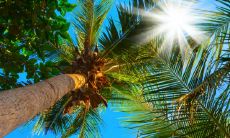 哪个星座在关键时刻无法提供帮助,反而成为累赘和阻碍?——探秘十二星座中的问题者