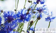 2022年虎年,哪些星座将迎来爆发式的桃花运?