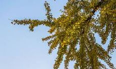 究竟哪个星座中的母亲是最为优秀和完美的?探索十二星座之间的差异及其对于家庭和孩子的影响