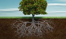 究竟有哪六个星座天生聪明?——从十二星座中探寻智慧之谜