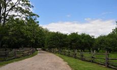 是哪个星座女生喜欢热心助人,乐于伸出援手给身边的人?