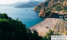 哪些星座在2021年12月将拥有最佳的身体状态和健康运势?