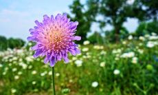 哪些星座为了自保而采取伤害他人的行为?