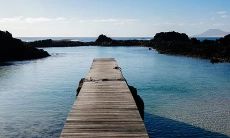 探讨太阳落于狮子座、月亮处于天蝎座的性格特点及其优缺点的详细分析