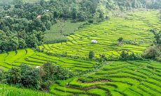 哪些星座在分手后能够快速找到新的恋爱对象?