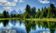 哪些性格平和的女孩可以像水一样静静流淌而无声无息?