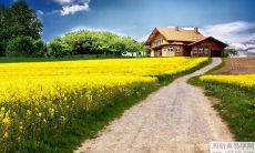 探究情商和智商均综合优异的五个星座,让你了解星座和个性间的奇妙关联!