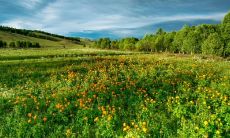 这些星座因过于大大咧咧与粗心而频繁犯错