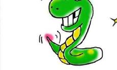 、财运运势和感情运势都有哪些变化?