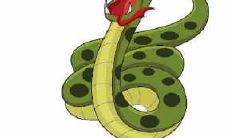 2021牛年:马蛇相助,女性生肖蛇如何应对全年吉凶祸福?