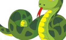 探究2023年春节生肖蛇的前景:预测未来可能发生的重大变化和事件