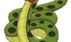 在2022年,属蛇的人的正财运势如何呢?