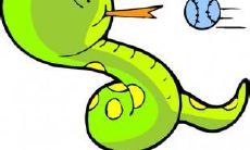 属蛇人可以随身携带的吉祥物种类有哪些呢?