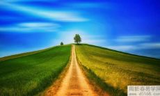 探究生肖龙一生婚姻感情运势的细节,为你揭示来自星象的真相