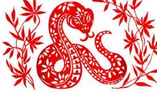 属蛇的配对:探究两个蛇相爱、结婚是否合适?