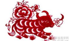 1997年出生的人是属于哪个生肖,他们的八字五行属性有哪些特征?