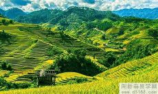 哪些生肖2022年4月的正财运较佳?