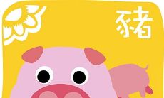 2023年生肖为猪的人的幸运色彩是什么?