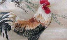 2022年属猪人的桃花运如何?如何有效提高异性缘?