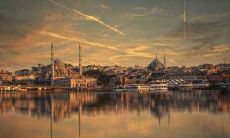 研究显示:猪年和猴年生肖如何相互匹配?猪与猴婚配是否合适?