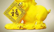 属猪女的2022年1月财富运势渐入佳境:财运亨通,赚钱机会不断!