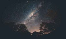 2021年属猪双子座的全面运势解析:未来趋势、具体表现和运程分析