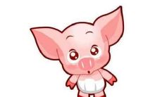 深入探讨属猪女人的性格特质以及彰显出的脾气与态度