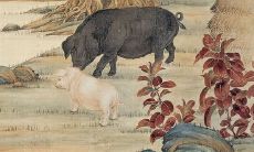 哪一年会出现适合1995年属猪人的姻缘?