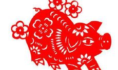 探究属猪人71年生肖在2021年全年的健康运势如何?