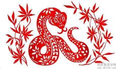 What Zodiac Sign Corresponds to 1989, and What Sort of Destiny Does It Imply?