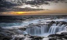 哪个生肖最配属猪?属猪的最佳婚配生肖是什么?