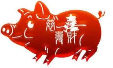 需要注意哪些相克属相和属于生肖猪的人们?