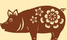 2021年上半年,如何翻转命运!探究1971年属猪男人的最新运势?