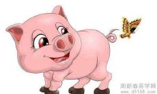 十二生肖中属猪的人如何搭配其他属相的配偶,具体属猪的属相婚配宜忌分析?