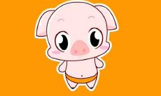 2020年6月,生肖属猪的人运势和事业发展前景如何?