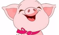 30岁与20岁的属猪男人:探究年龄差异所引发的不同特征和表现!