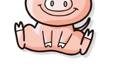 鉴定2023年生肖猪人是否适宜佩戴黄金饰品,从生肖属相、五行属性、身体健康和个人喜好等多个角度综合分析