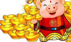 探究属猪男的感情世界:解析其态度、行为及情感状态