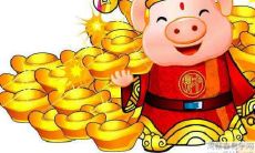 2007年出生的属猪男孩,未来的2022年会有怎样的运势表现?