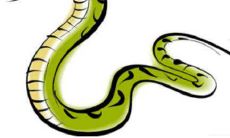 属蛇和属鼠的人可以有美好的婚姻吗?考察属相匹配的可能性及影响