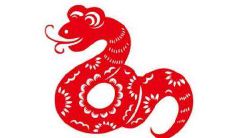 为属蛇人推荐合适的宠物:探究属蛇人最适宜饲养的宠物及其优势!