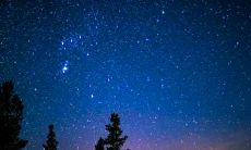 探究属蛇人如何在2021年佩戴哪些饰品以求财运转运之道