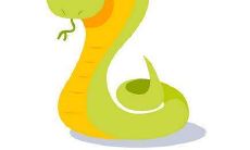 属蛇女人的星座命运与婚姻状况:如何应对喜怒哀乐,维护幸福婚姻?