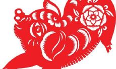 探究属猪2023年人事业发展的趋势和关键因素,和必须注意的事项