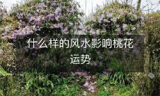 影响桃花运势的风水有哪些特征和表现?