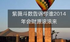 通过紫薇斗数预测,哪些人在2014年将会享受到财源滚滚的好运?