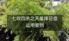 七政四余之天星择日盘运用要则:剖析星位分析法与命理学在日常生活中的应用方法