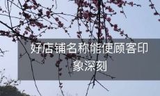 在商业竞争激烈的市场中,选择一个好店铺名称能够产生深刻的顾客印象,从而赢得消费者的青睐和商业成功