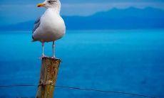 卫生间门是否朝床而立的布局对寝室风水有何影响:是祸是福?